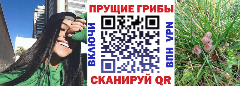 Галлюциногенные грибы мухоморы  Грязовец 